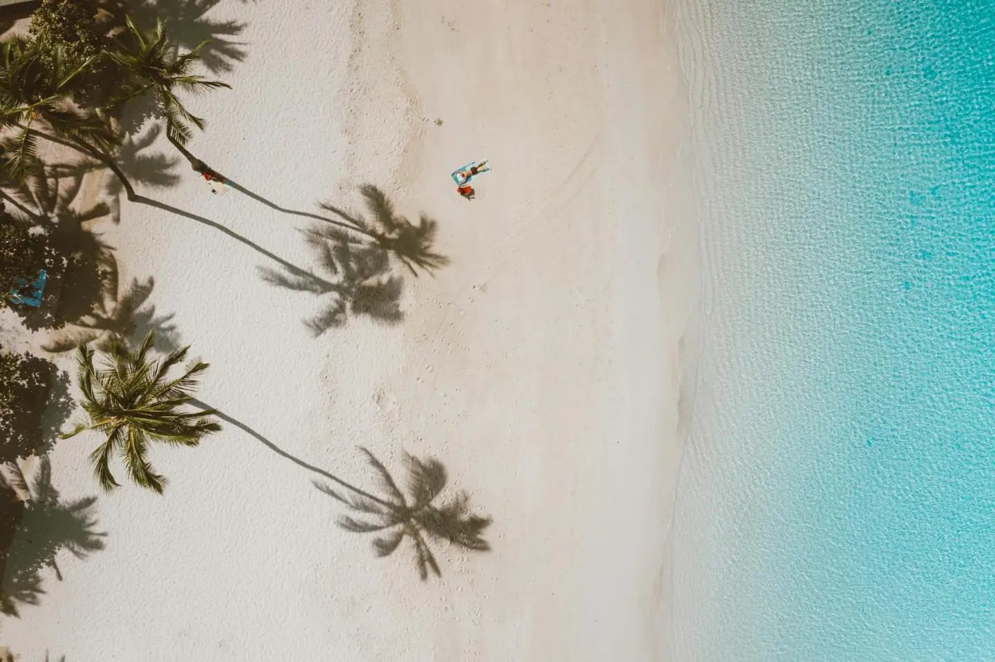 Palms and turquoise water on a Hawaiian beach, seen from the air